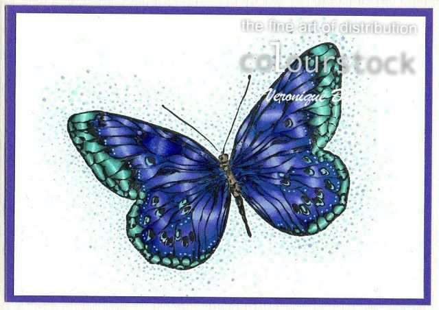 Vlinder Gemaakt Door Veronique Vlinders Inkt Copic