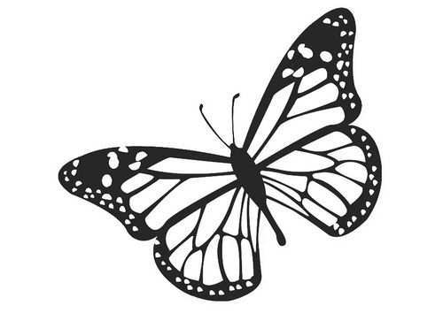 Kleurplaat Vlinder Afb 20674 Gratis Kleurplaten Monarchvlinder Kleurplaten
