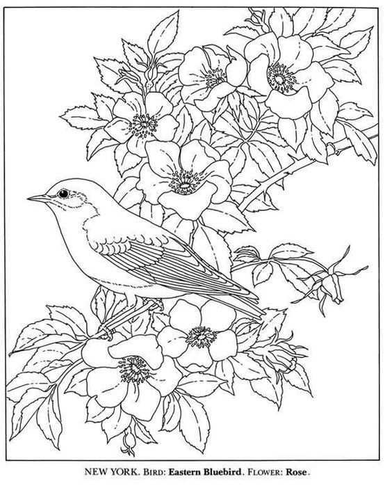 Colouring Pages Kleurboek Kleurplaten Bloem Kleurplaten