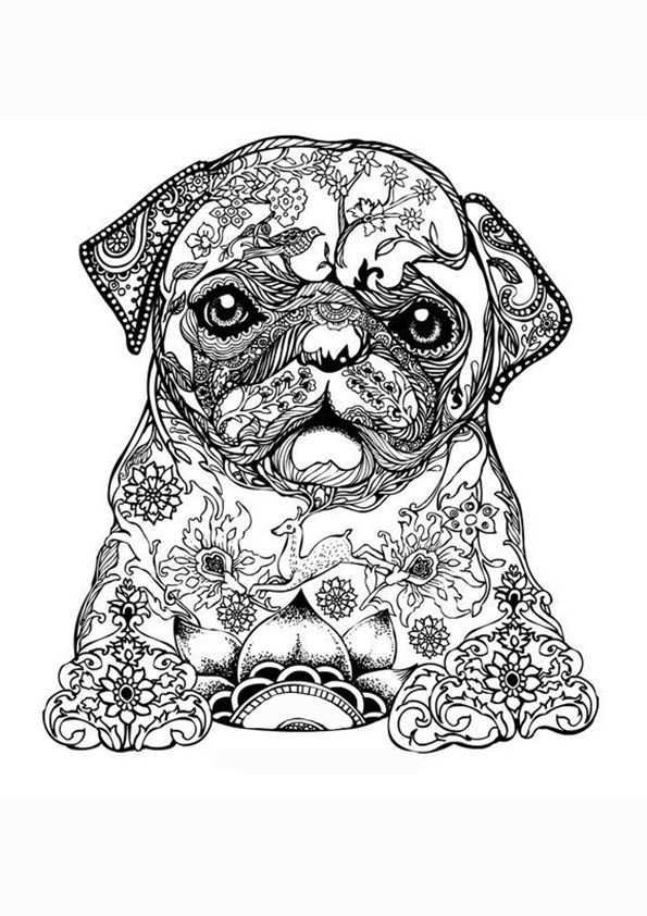 Bull A4 Jpg 595 842 Puppy Coloring Pages Dog Coloring Page Animal Coloring Pages