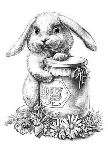 Pin By Heidi De Graef On Pyrography Animal Drawings Bunny Coloring Pages Drawings