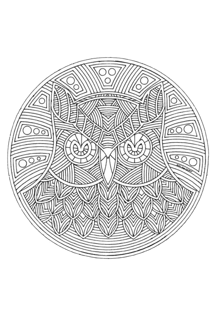 Pin Op Owl Coloring Pages Uil Kleurplaten