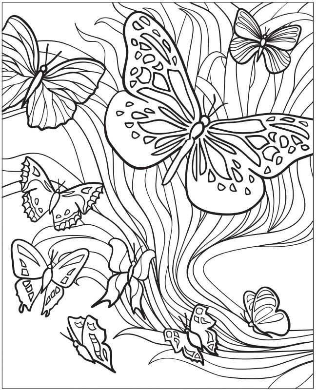 Volwassenen Kleurplaat Vlinders Butterfly Coloring Page Insect Coloring Pages Colorin