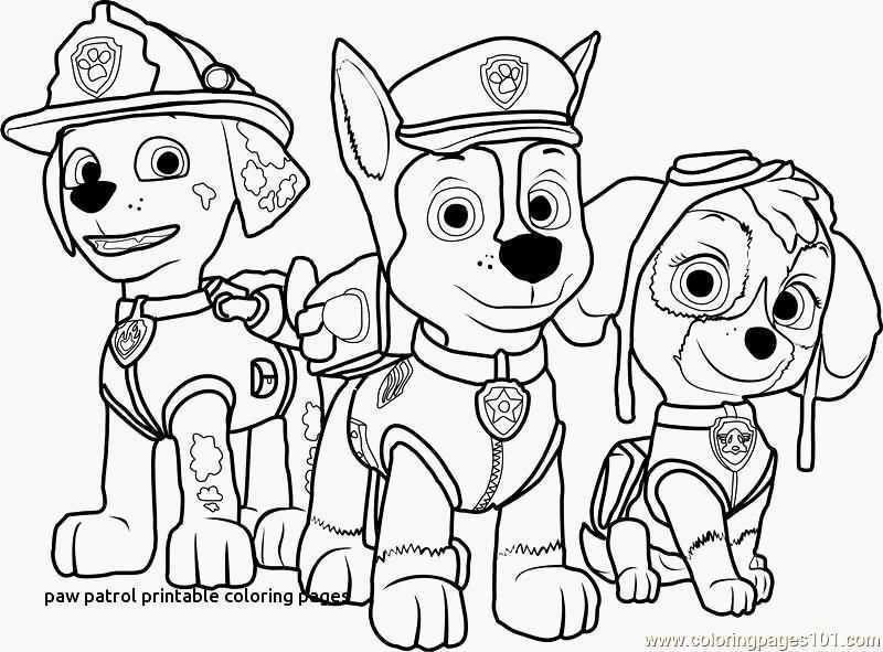 42 Kleurplaat Paw Patrol Kleurplaten Gratis Kleurplaten Kleurboek