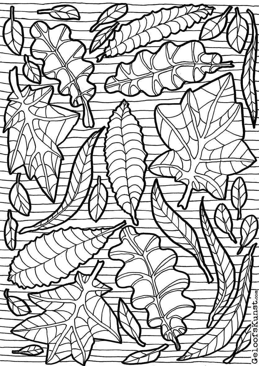 Http Coloringtoolkit Com Leaves Colouring Page Coloring If You Re In The Market For T