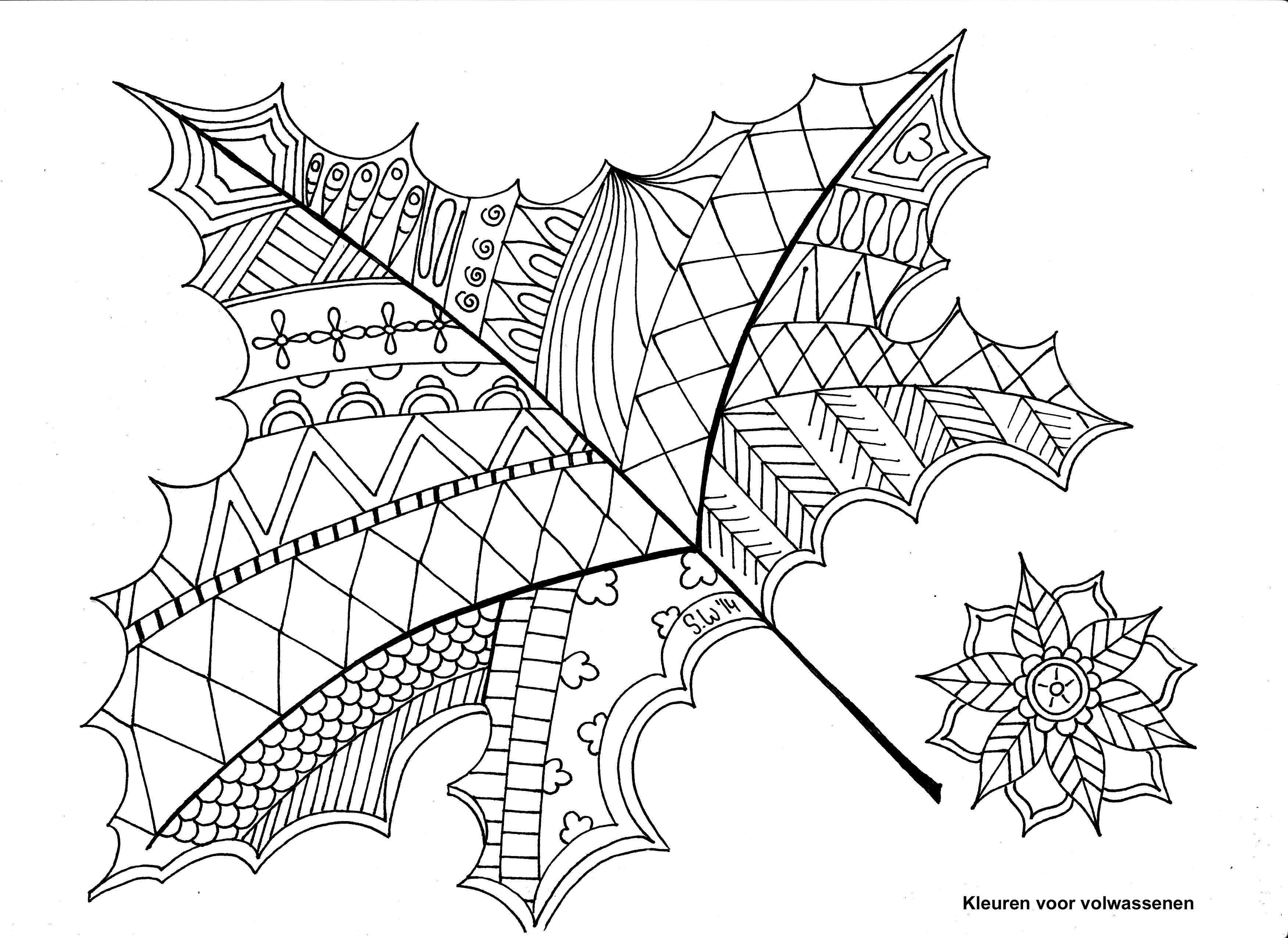 Coloring For Adults Kleuren Voor Volwassenen Kleurplaten Kleurplaten Voor Volwassenen