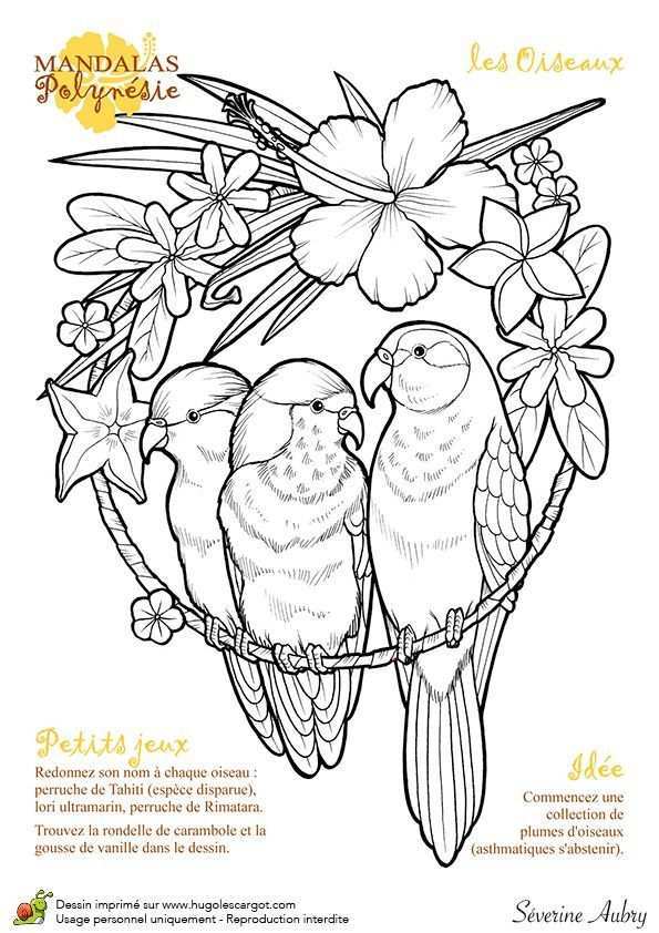 Zeichnung Mandalas Polynesien Die Vogel Hugolescargot Com C Coloring In Coloring Die Hugolescarg Bloemen Tekenen Kleurpotloodtekeningen Kleurplaten