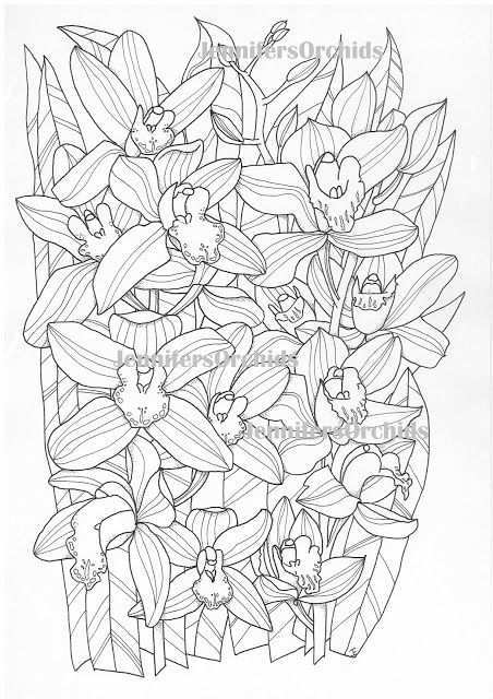 Schilderijen Van Orchideeen Andere Botanische Werken Kleuren Voor Volwassenen Bloemen Alfabet Kleur Kleurplaten Kleuren Bloemen