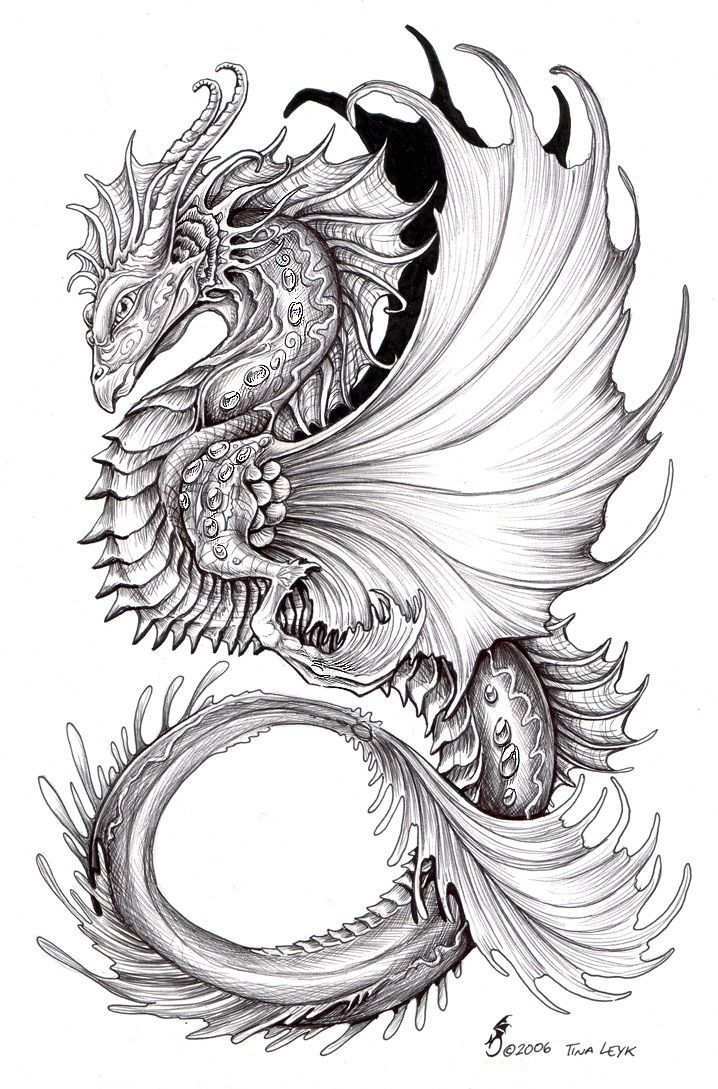 White Dragon Google Search Dragon Fantasy Google Search White Dragon Artwork Dragon C