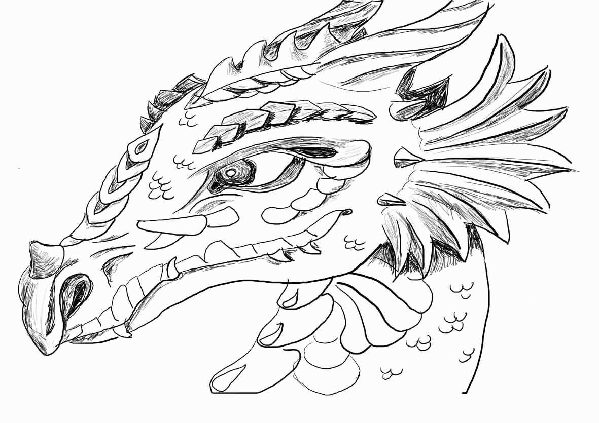 Dragon Coloring Page For Adults Luxury Realistic Dragon Coloring Pages For Adults Col