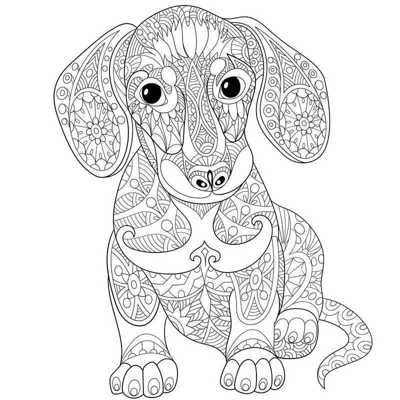 Pin On Adult Colouring Simply Doggies