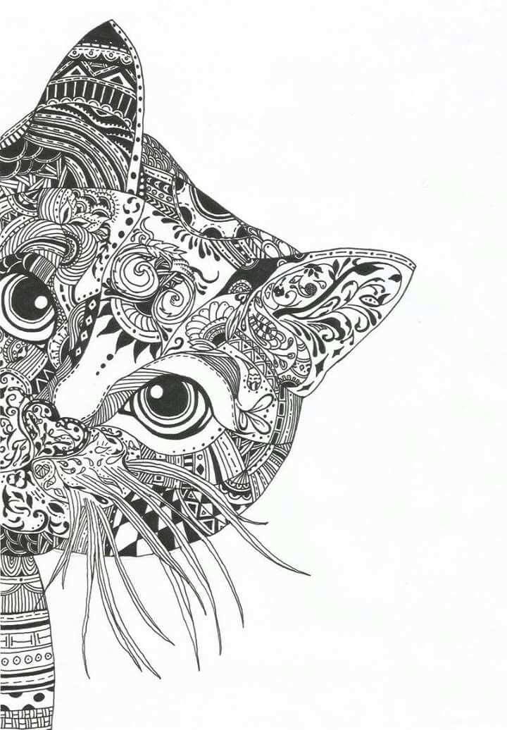 Pin By Anja Bellecoste On Gatos Com Mandala Drawing Hummingbird Artwork Art