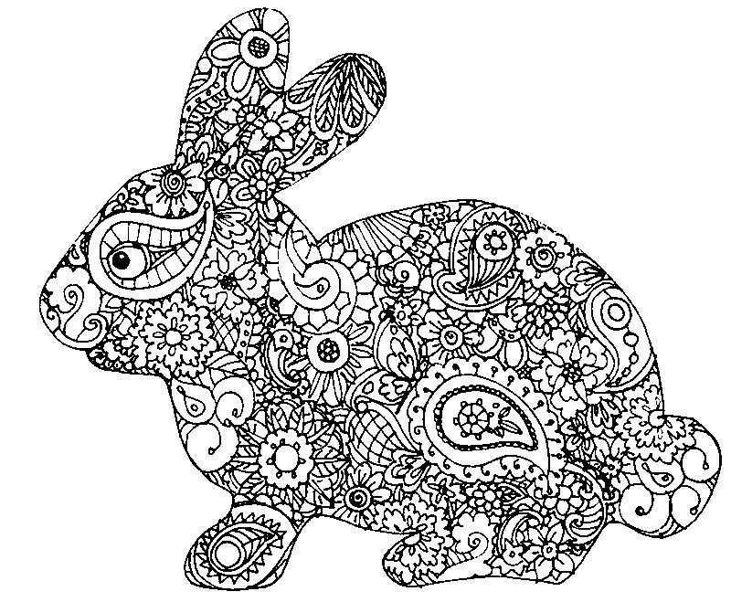 Konijn Kleurplaat Bunny Coloring Pages Easter Coloring Pages Animal Coloring Pages