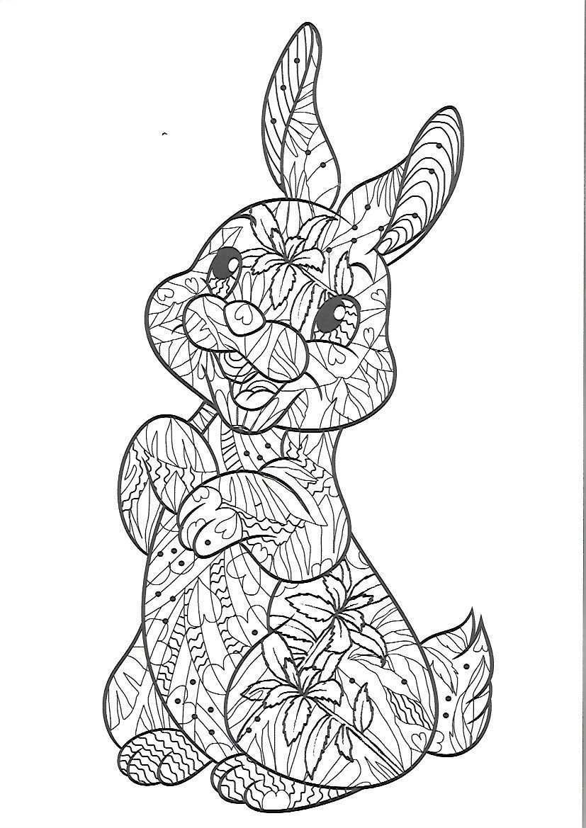 Pin By Pamela Greiser On Small Animals Cat Coloring Page Animal Coloring Pages Easter