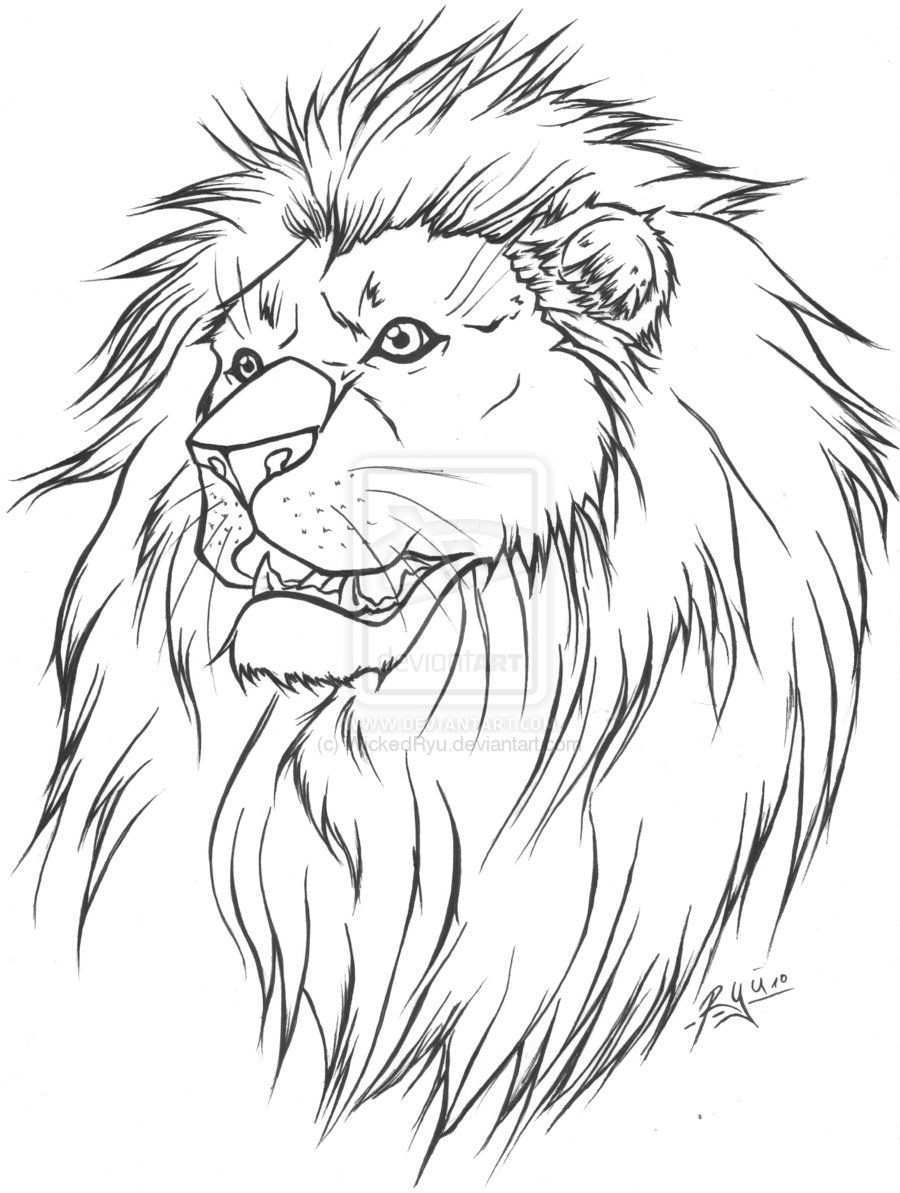Pin By Ryan Erler On Cats Lion Tattoo Design Lion Tattoo Sketches