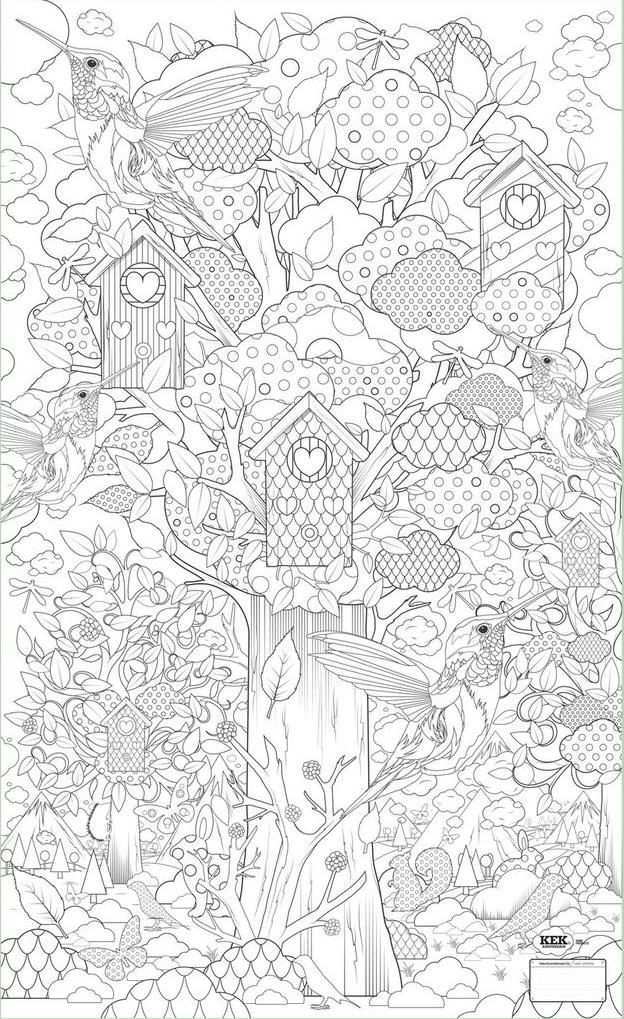 Pin Op Adult Coloring Books