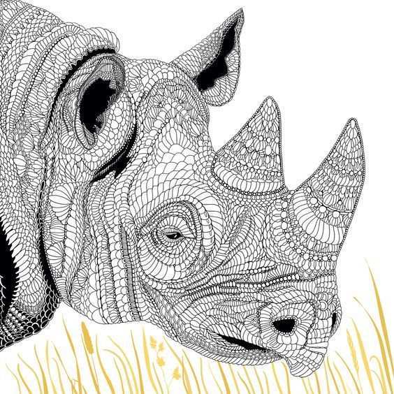 Zwarte Neushoorn Dieren Tekenen Dieren Zentangle Patronen