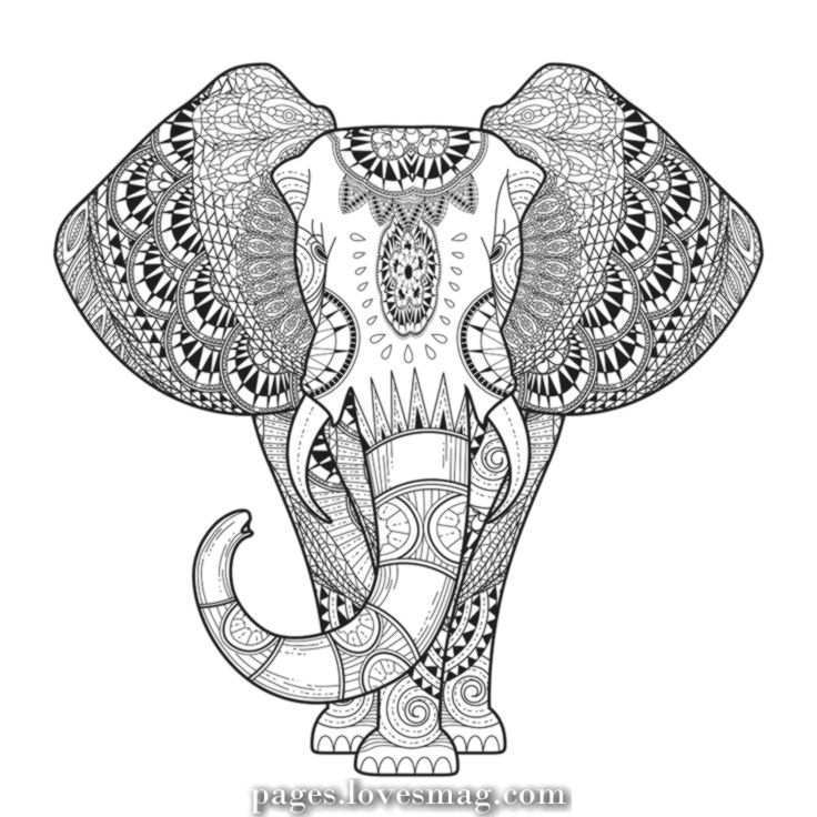Pin Op Animal Coloring Pages