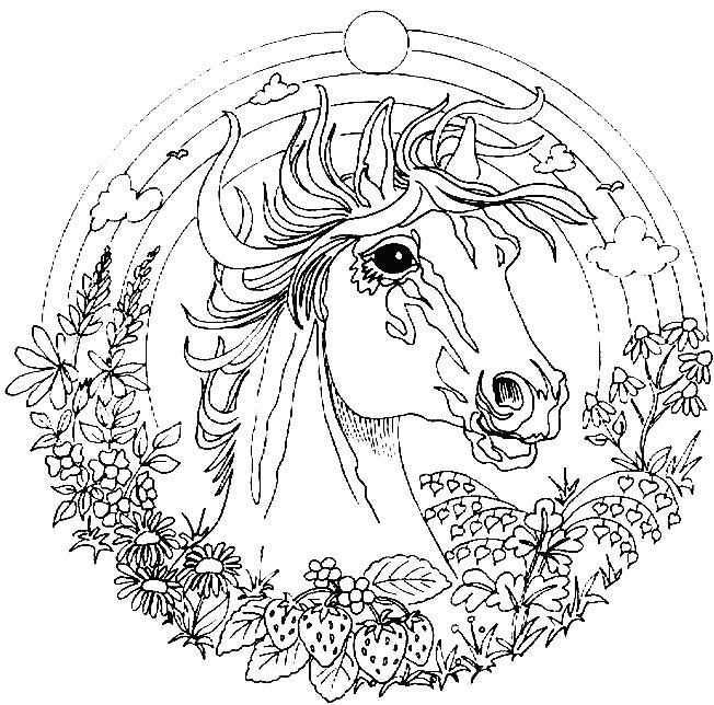 Mozaiek Patroon Mandala Paard Horse Coloring Pages Unicorn Coloring Pages Animal Coloring Pages