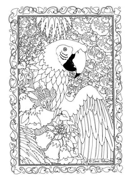 Coloring Page Parrot Img 18698 Detailed Coloring Pages Animal Coloring Pages Free Col