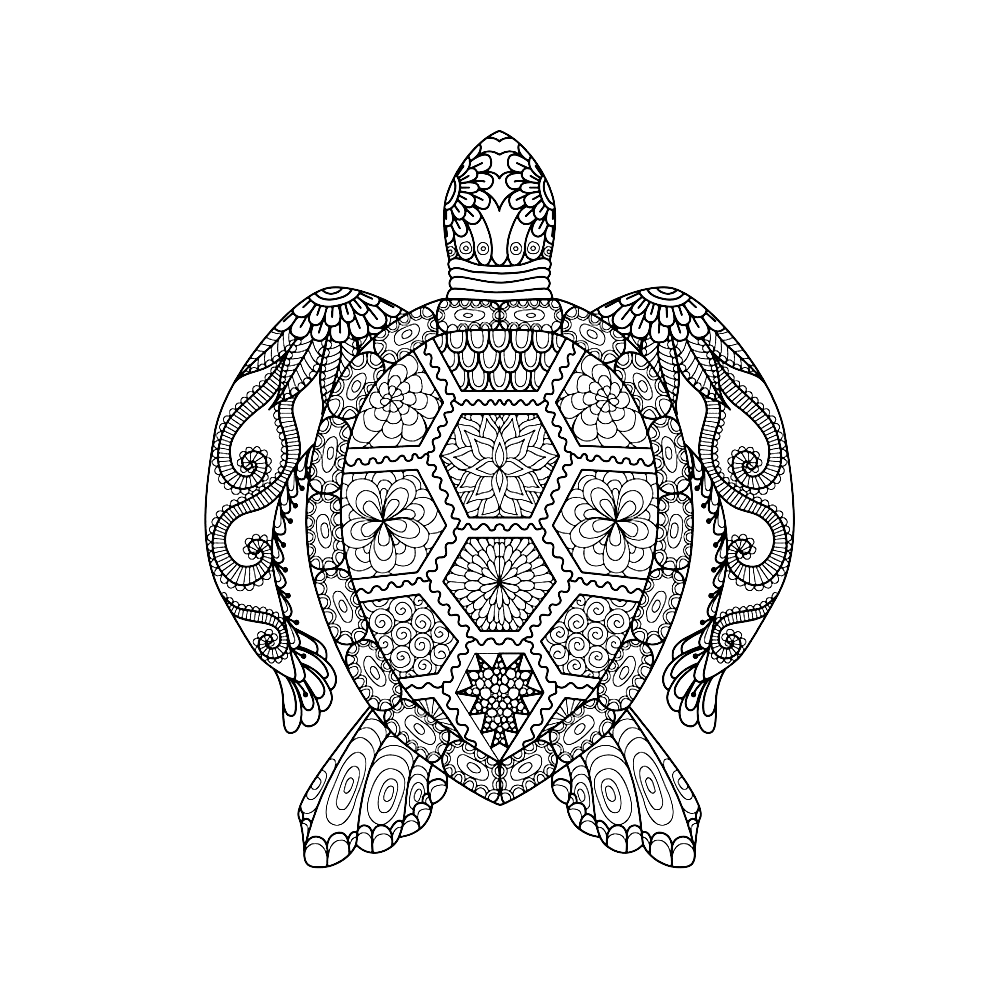 Site Search Discovery Powered By Ai Turtle Coloring Pages Animal Coloring Books Anima