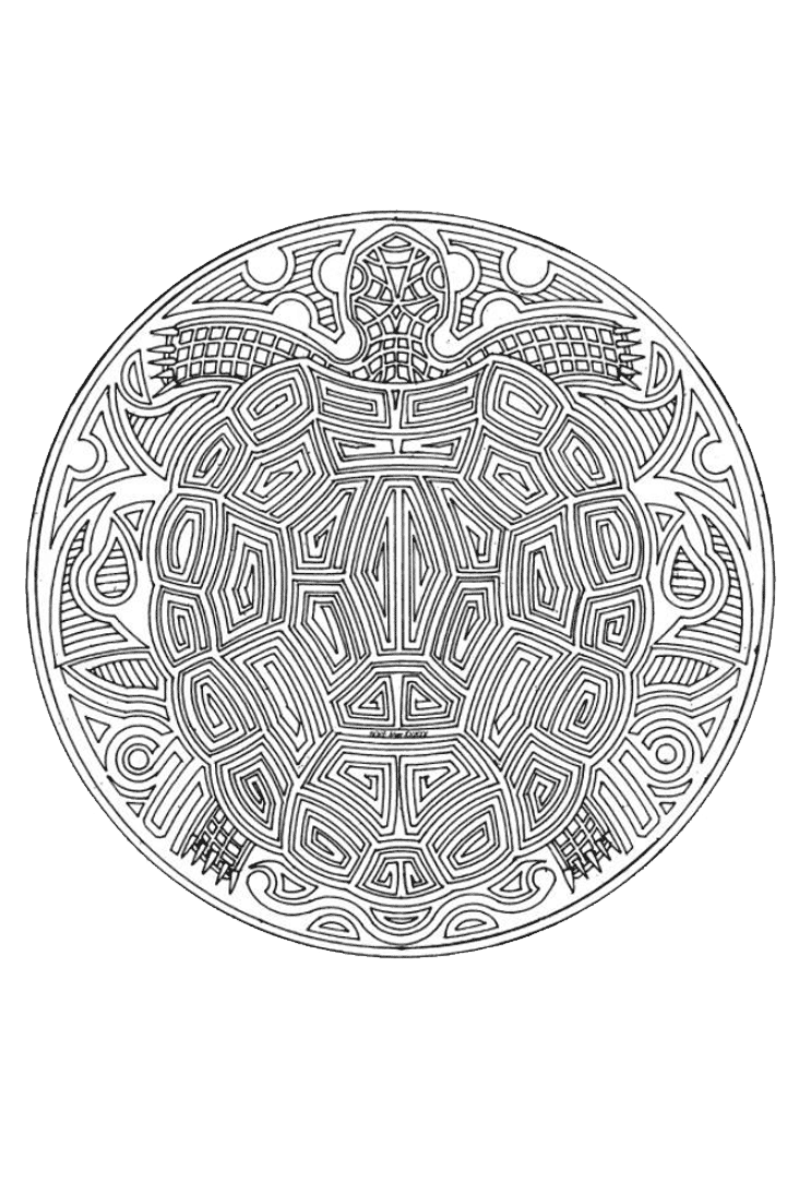 Schildpad Mandala Mandala Kleurplaten Kleurplaten Mandala