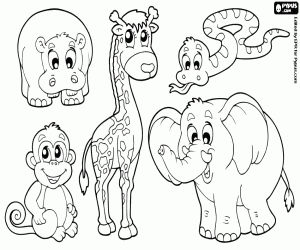 Free Coloring Pages Coloring Sheets Printable Coloring Pages Dieren Kleurplaten Diere