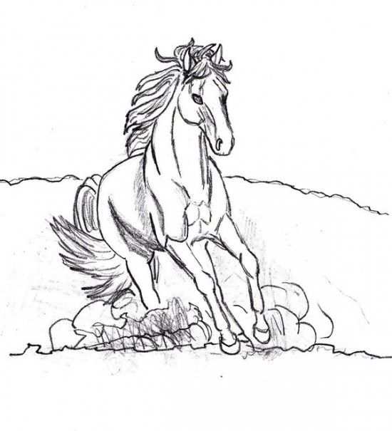 Horse Coloring Pages Picture 9 Kleurplaten En Paarden