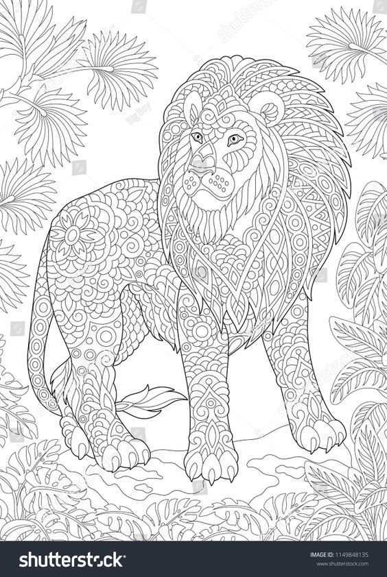 Pin Op Coloring Lion Tiger