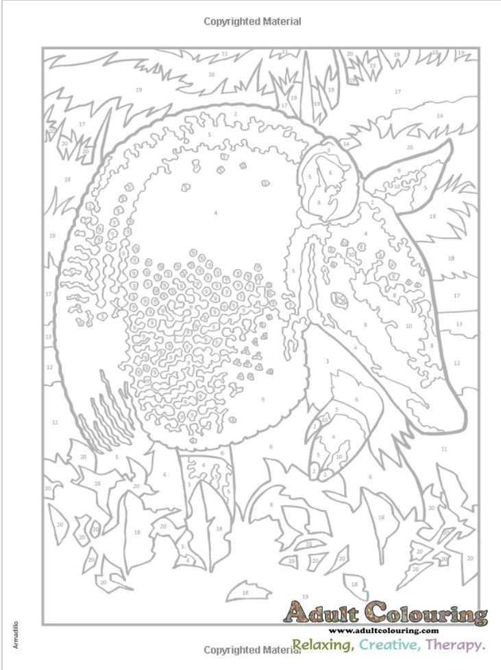 Pin On Animal Adult Colouring Book Collection