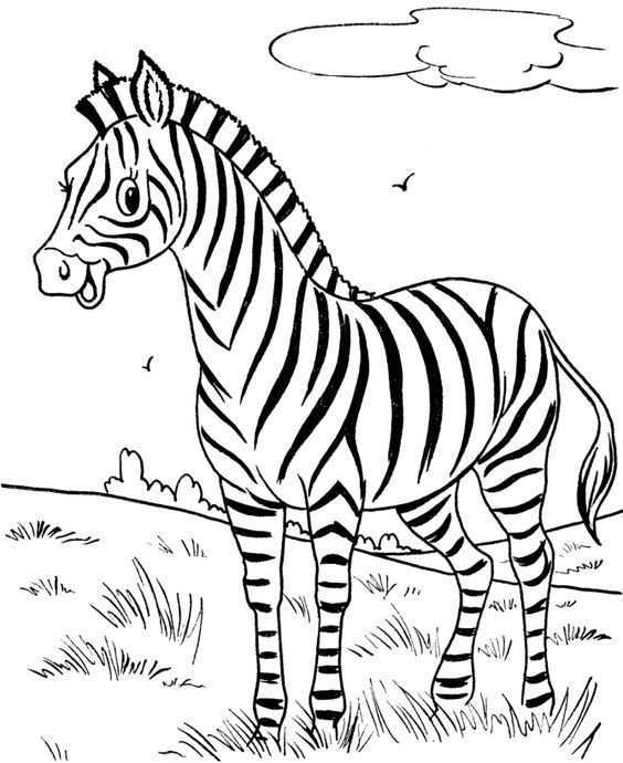 Happy Little Zebra Animal Coloring Page Zebra Coloring Page Dieren Kleurplaten Zebra