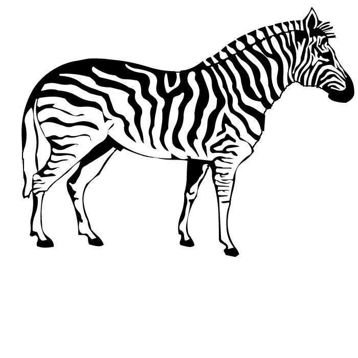 Pin Van Renee Donaldson Op Random Zebra Tekening Zebra S Dieren