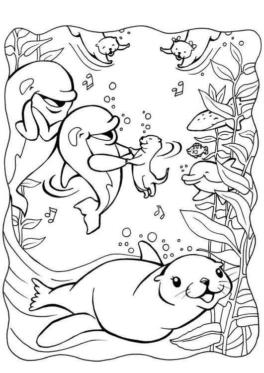 Coloring Page Dolphins With Seal Img 7085 Kleurplaten Dieren Kleurplaten Dolfijnen