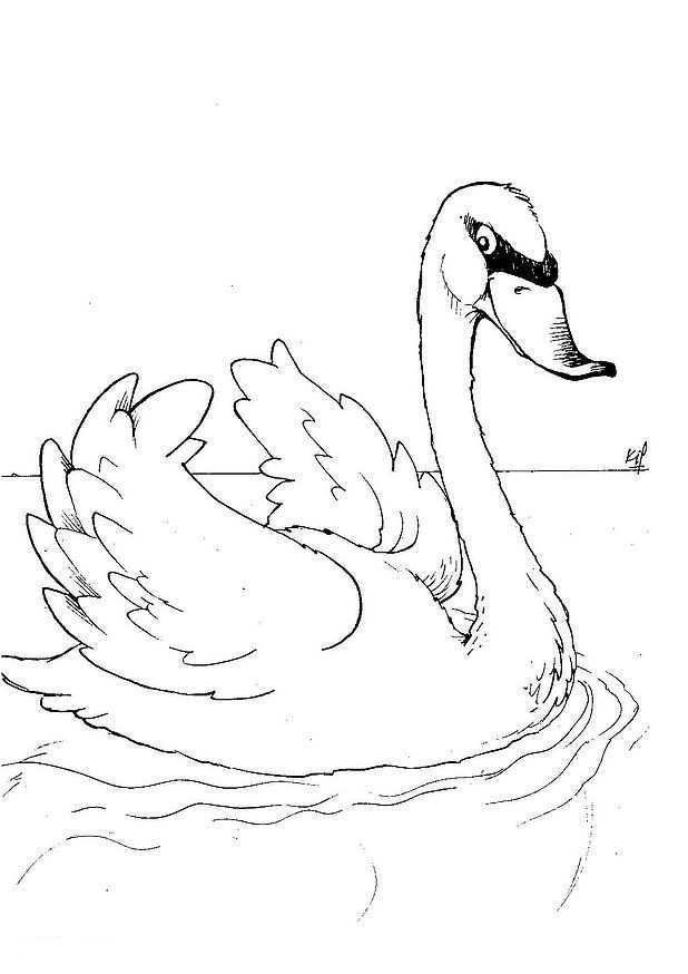Coloring Page Swans Swans Coloring Pages Animal Coloring Pages Princess Coloring Page