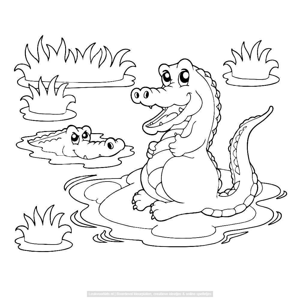 Leuk Voor Kids Twee Krokodillen Bij Het Water Krokodillen Dieren Kleurplaten