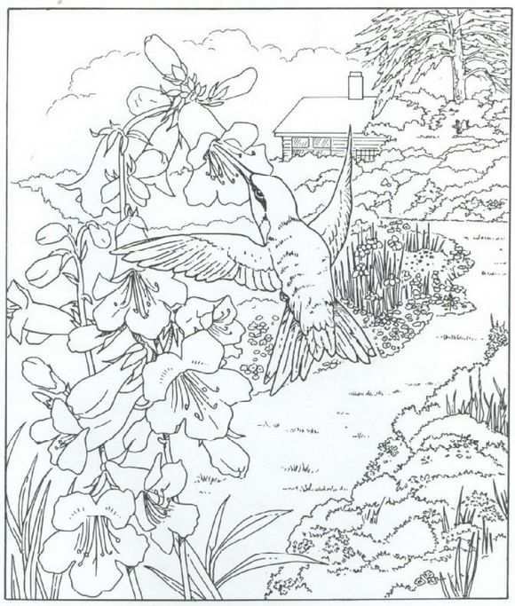 40 Coloring Pages Of Nature Around The House On Kids N Fun Co Uk Op Kids N Fun Vind J