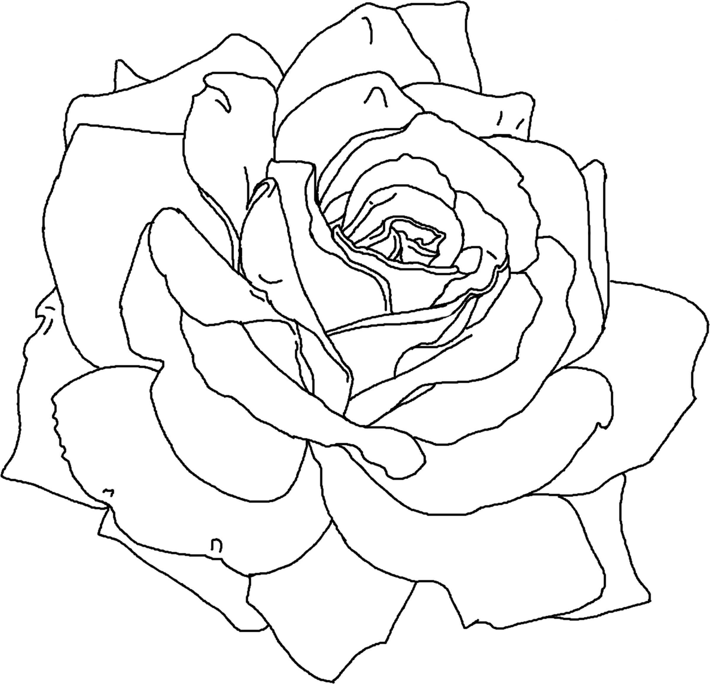 Rose Flower Coloring Page Printable Flower Coloring Pages Rose Coloring Pages Flower
