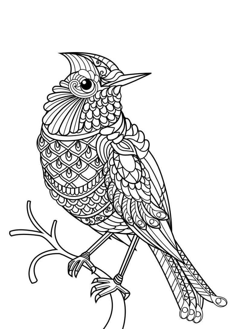25 Inspiration Image Of Animal Mandala Coloring Pages Bird Coloring Pages Mandala Col