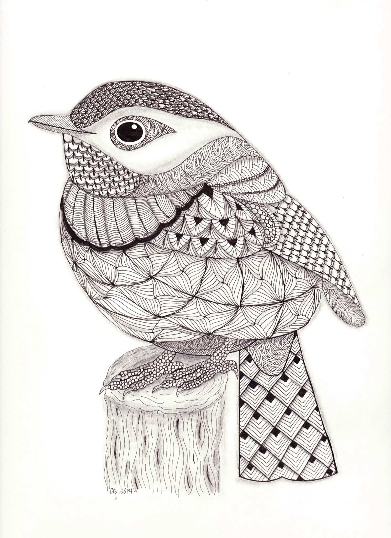 Zentangle Bird Vogels Tekenen Dierenillustraties Mandala Kleurplaten