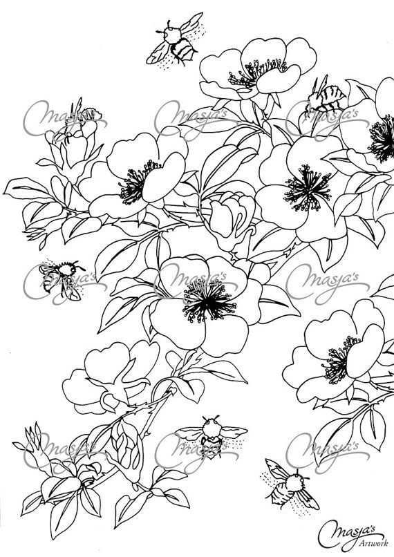 Masja S Honeybees Hand Drawn Coloring Page Kleurplaten Bloemen Tekenen Kleurboek