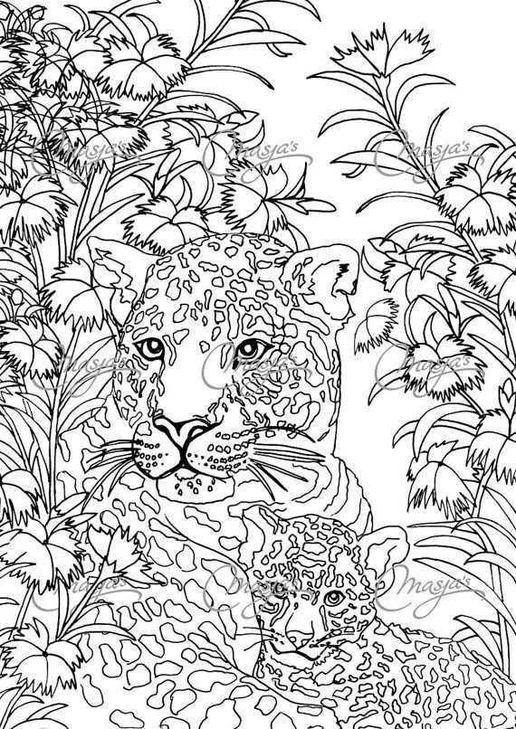 Pin On Adult Colouring Zentangle