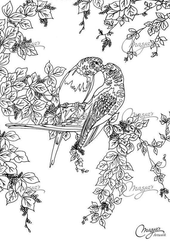 Masja 39 S Lovebirds Hand Drawn Coloring Page Coloring Pages Valentines Day Coloring