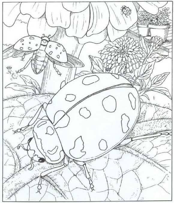 40 Coloring Pages Of Nature Around The House On Kids N Fun Co Uk Op Kids N Fun Vind J