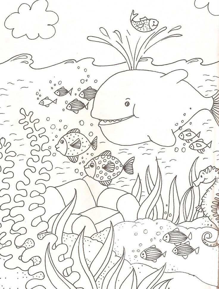 Onderwaterwereld Kleurplaat Google Zoeken Under The Sea Drawings Animal Coloring Page
