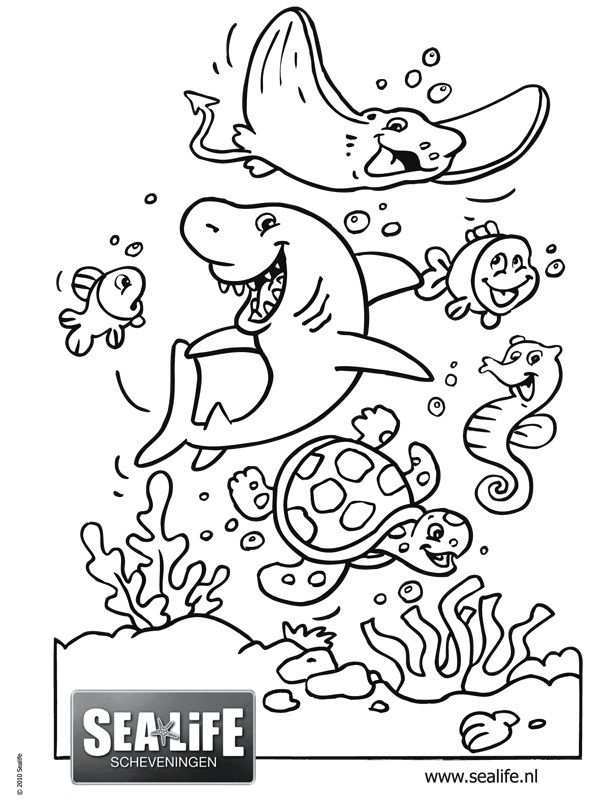 Onderwaterwereld Kleurplaat Google Zoeken Cute Animals Fictional Characters Character