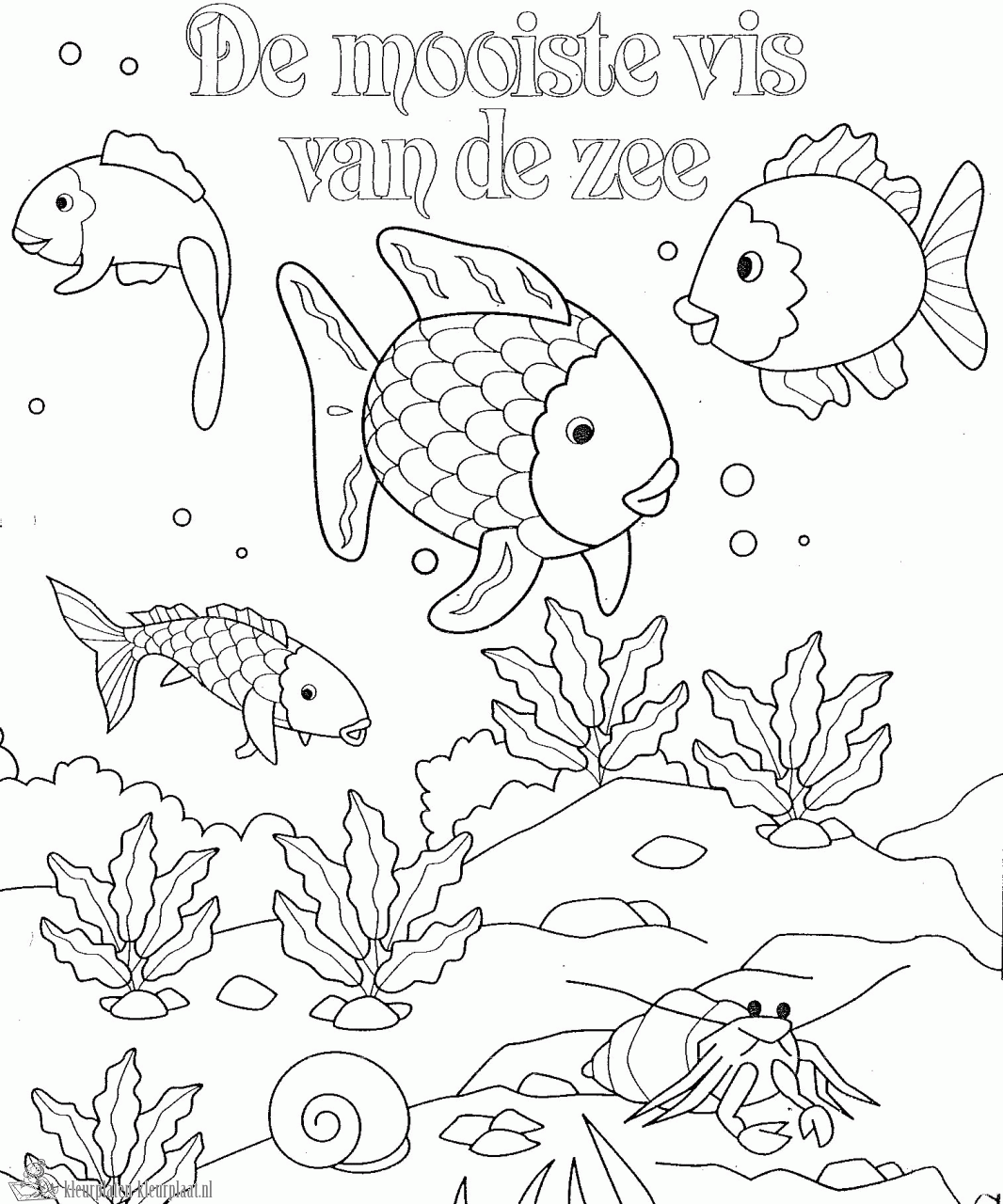 Onderwaterwereld Kleurplaat Google Zoeken Mermaid Quilt Rainbow Fish Coloring Pages