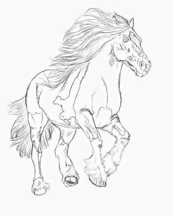 Pin Von Jorina Haagsma Auf Jardim Secreto Pferde Zeichnen Pferde Kopf Zeichnen Tiere Zeichnen