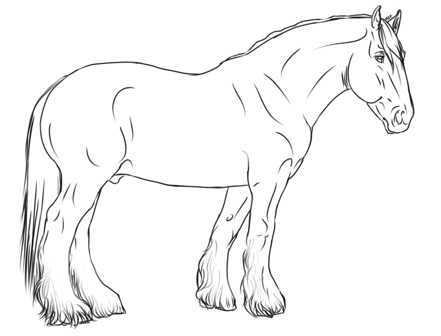 Warmblood Horse Google Search Dessin Cheval Dessin D Animal Jolis Chevaux