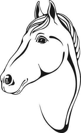 Zwarte En Witte Contouren Van Het Paard Hoofd In Skertch Stijl Paard Silhouet Paard T