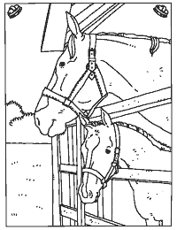 Paarden In De Stal Kleurboek Kleurplaten Voor Kinderen Paard Knutselen